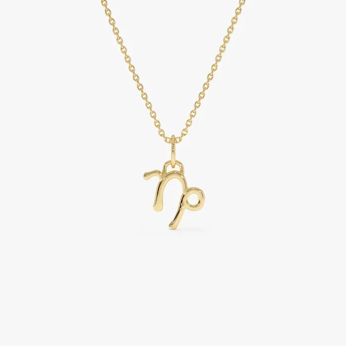 14K Capricorn Zodiac Charm Necklace