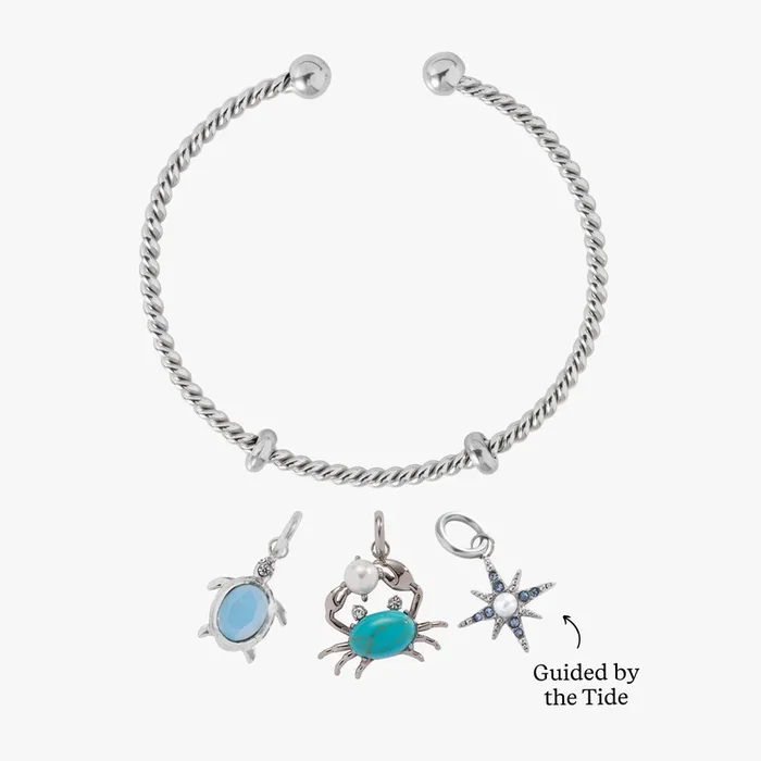 Crabby But Cute Charm Bundle