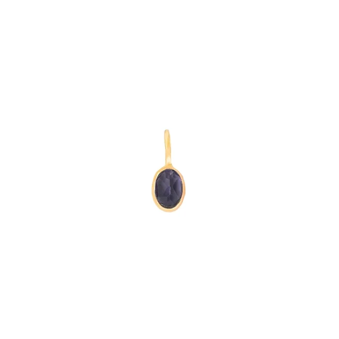 Faceted Iolite Small Gem Charm