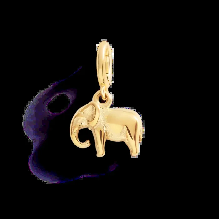Good Luck Elephant Charm