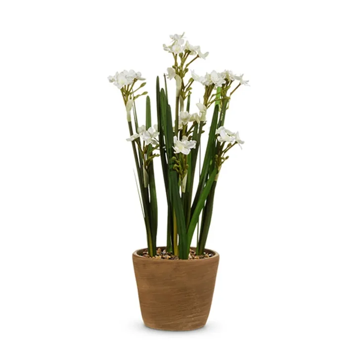 Raz Imports 20″ Potted Paperwhites (In-Store Only)