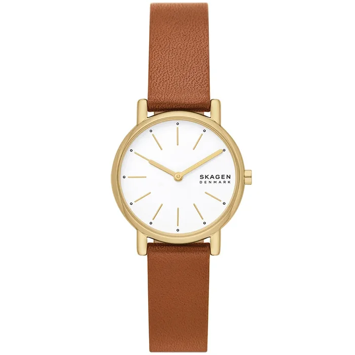 Skagen Signatur Lille SKW3121