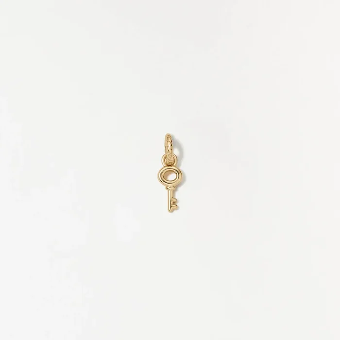 Skeleton Key Charm