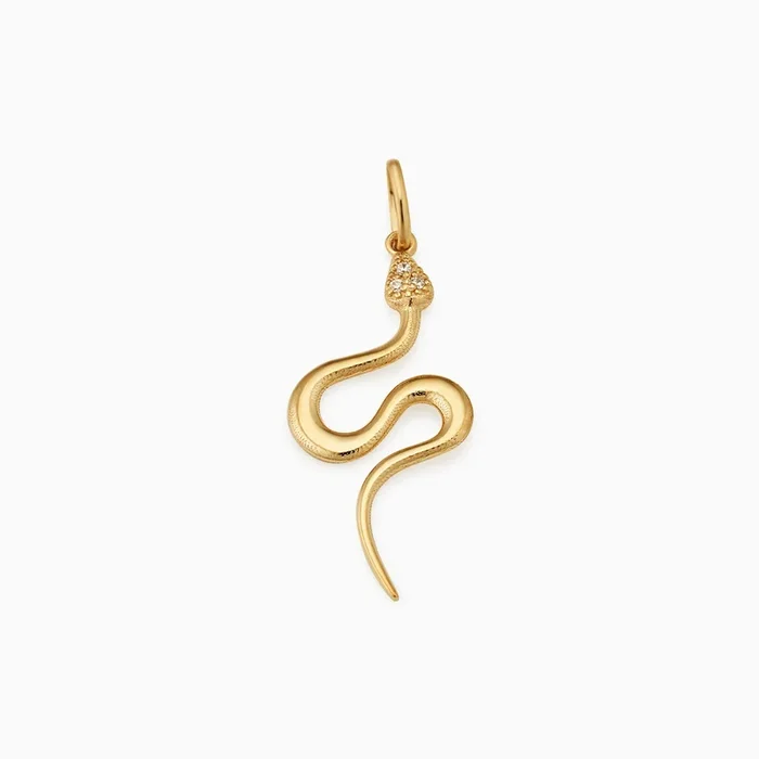 Snake Charmer Pendant Charm