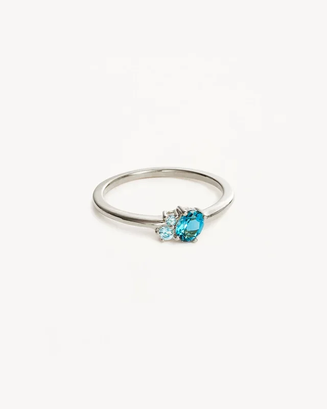 Sterling Silver Kindred Birthstone Ring – December
