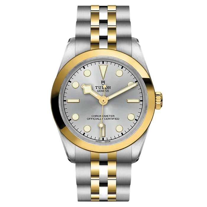 Tudor Black Bay 31 COSC S&G auto 31 mm Watch M79603-0002 – Lepage