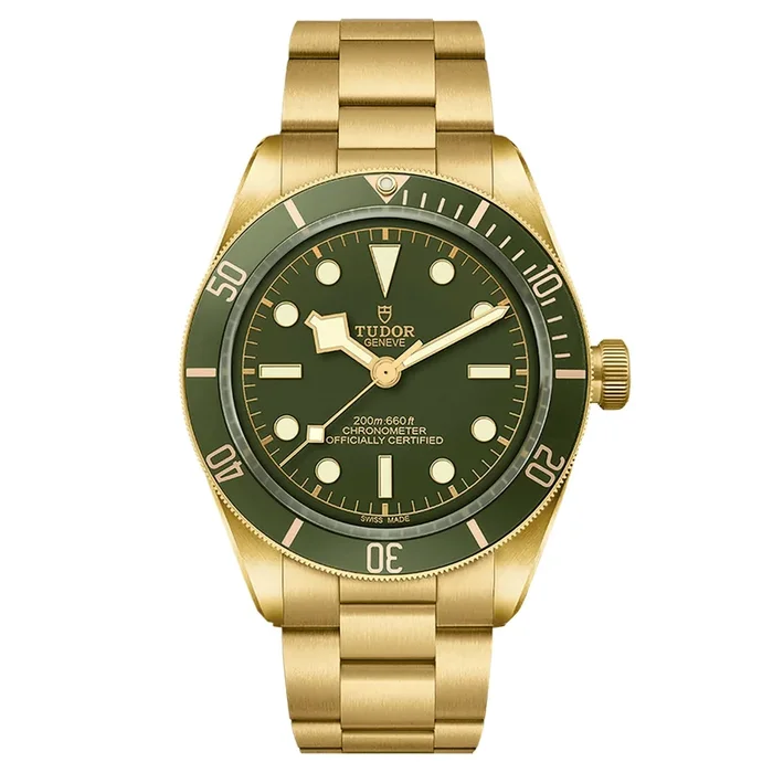Tudor Black Bay 58 18K Yellow Gold 39 mm Watch M79018V-0006- Lepage